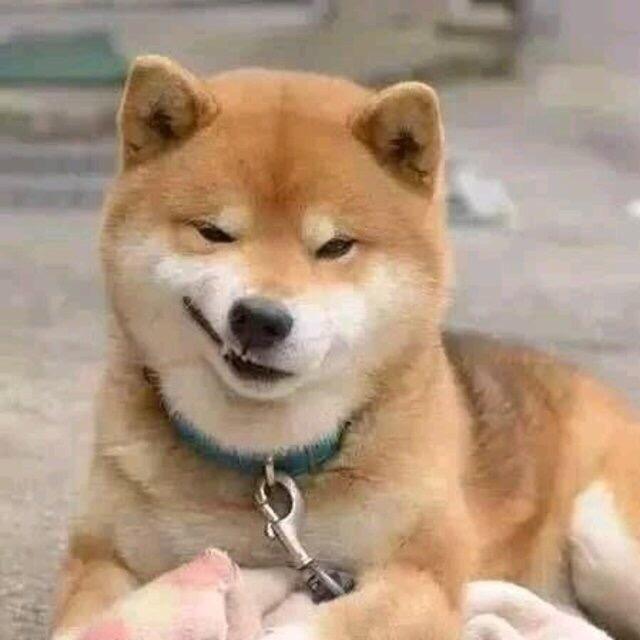 四十