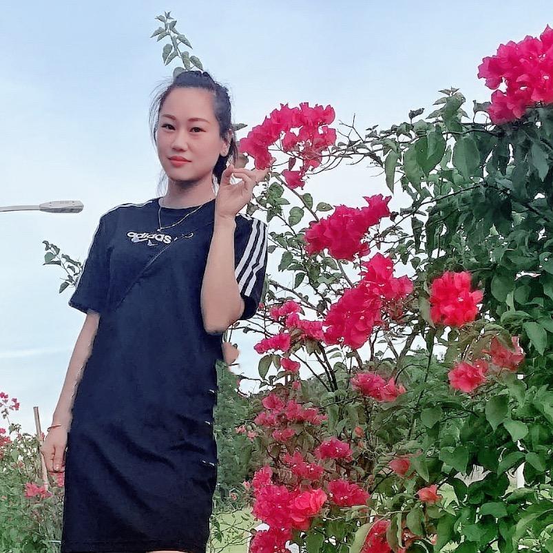 🌹🌺梅姐🌺🌹