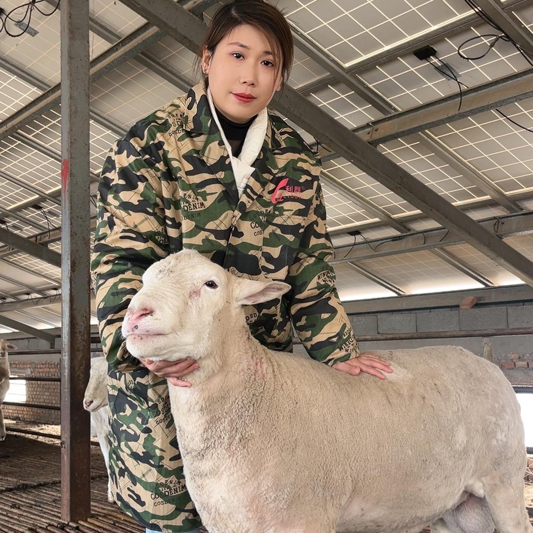 农村养殖小妹