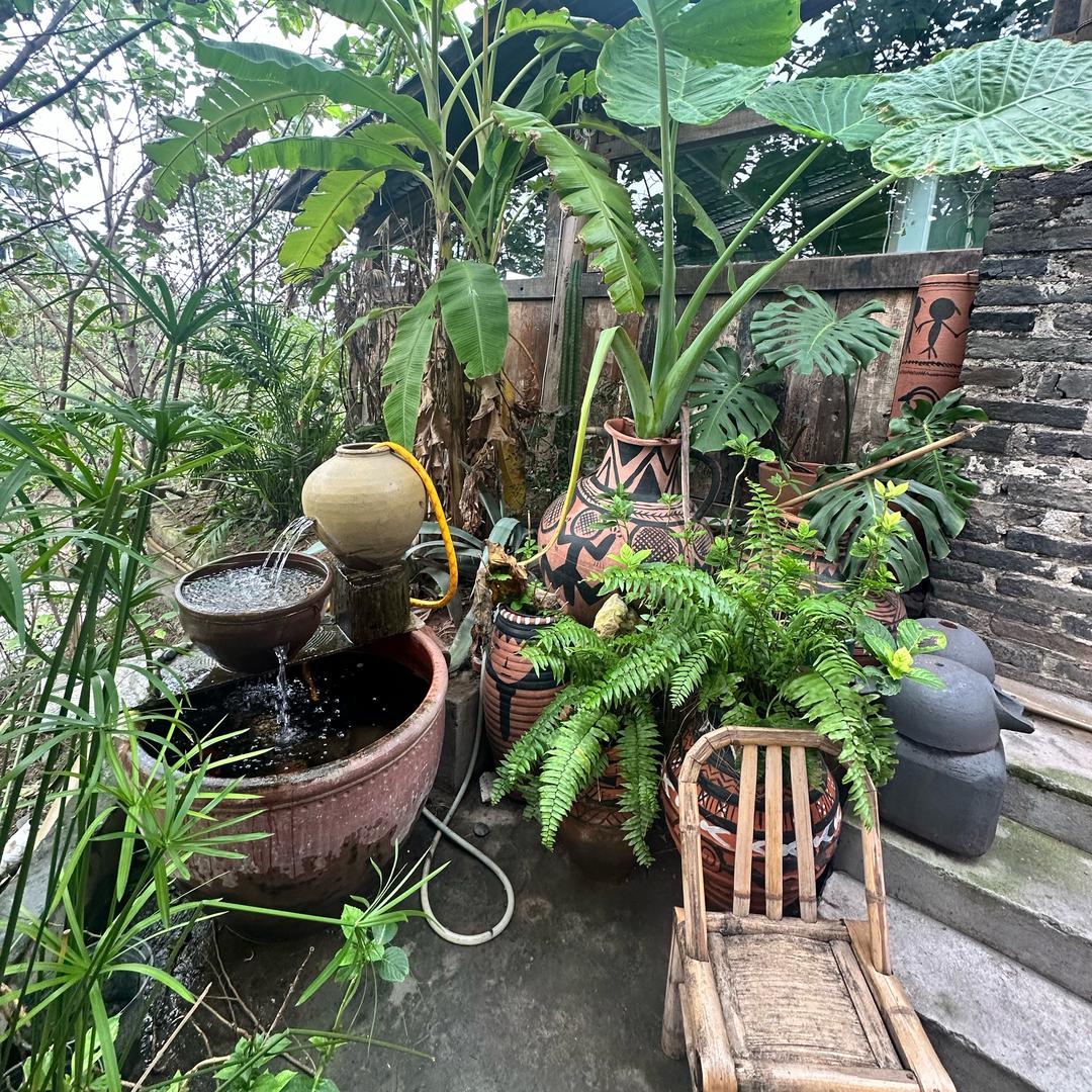 左岸