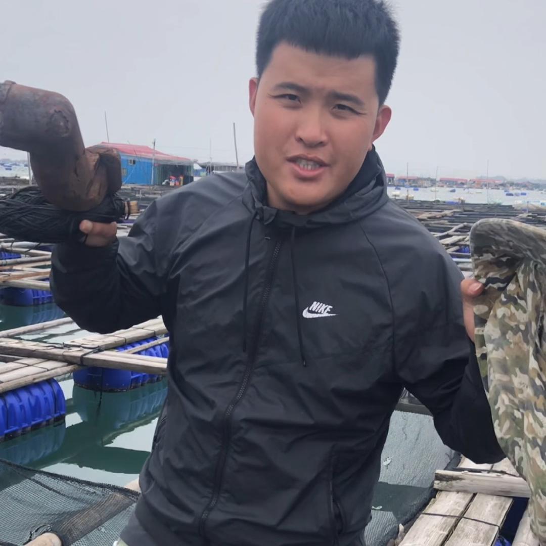 黄多渔生鲜优选（霞浦海带）