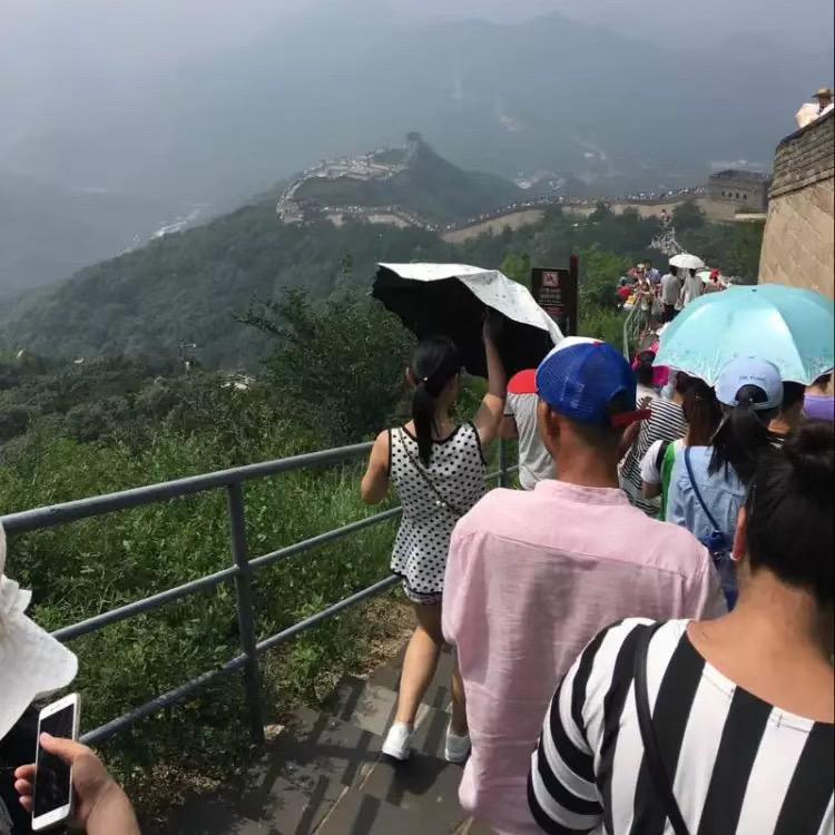 园园不圆