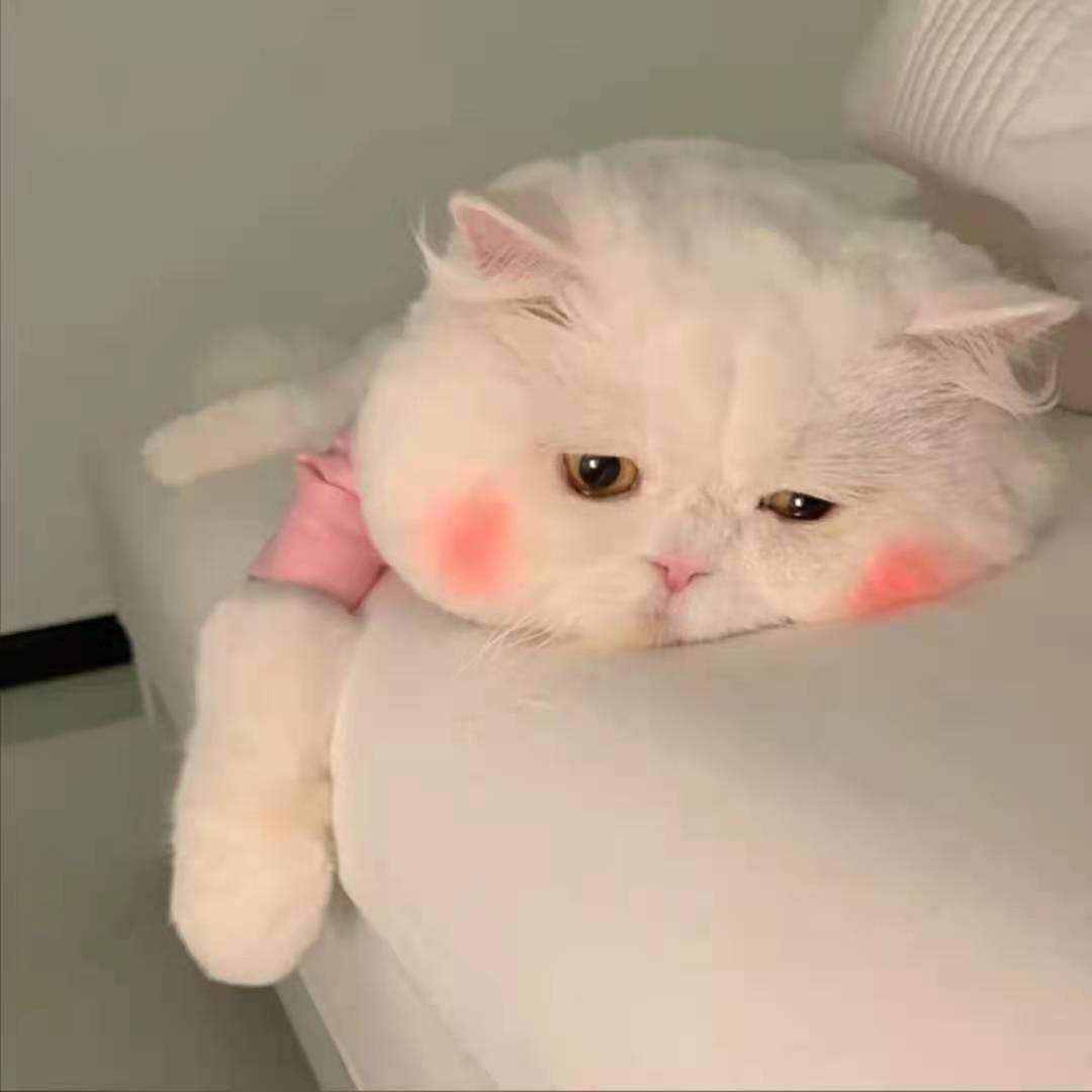 小羊打嗝🐏