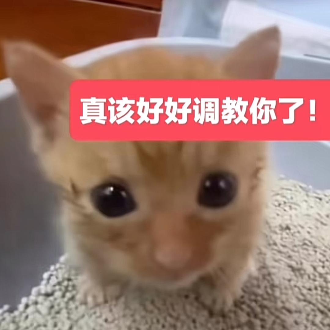 拾花集