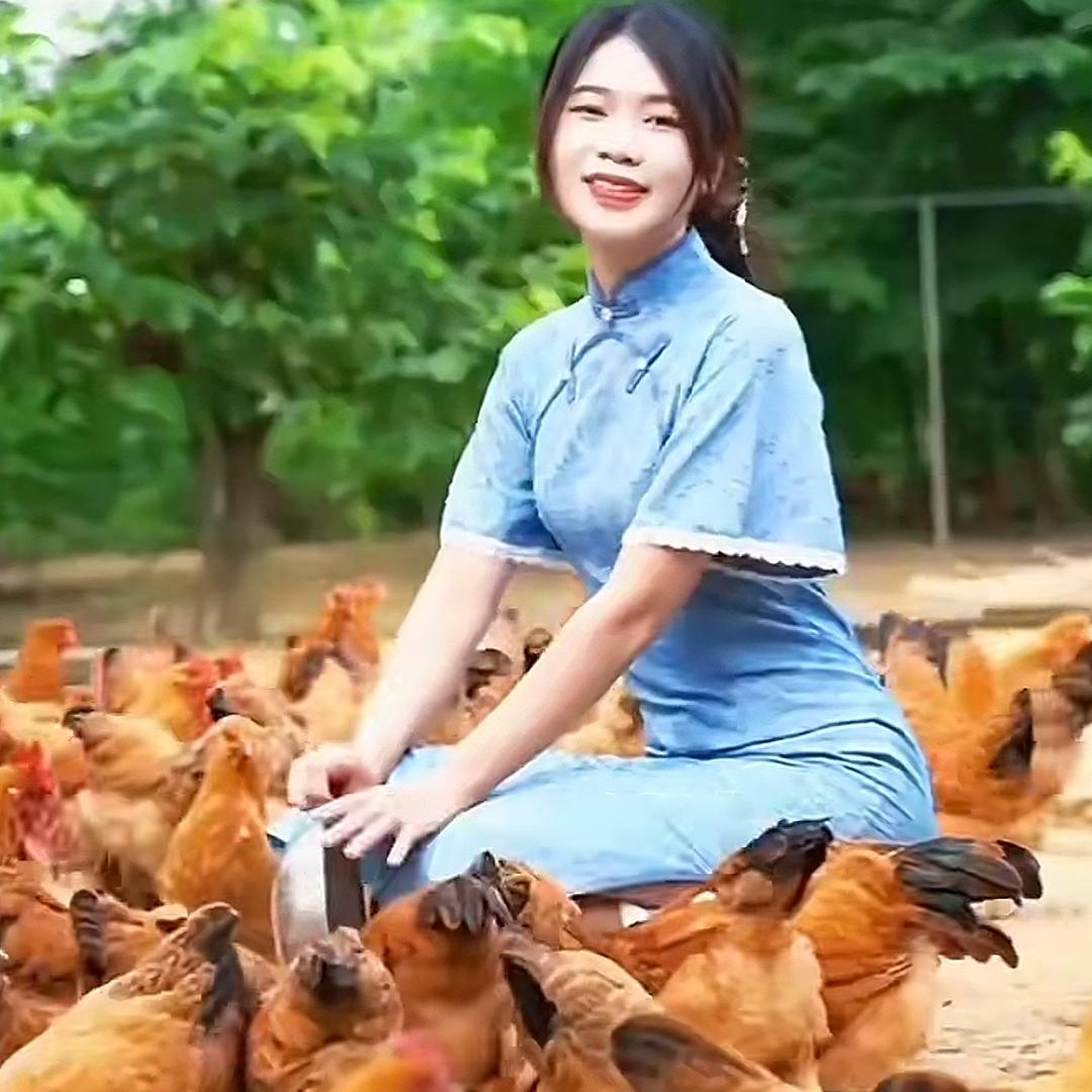 养鸡阿妹