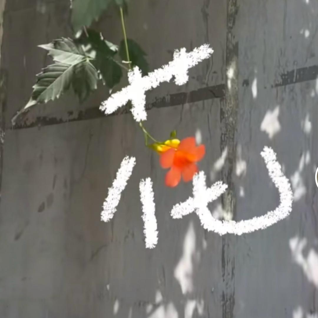 花💋