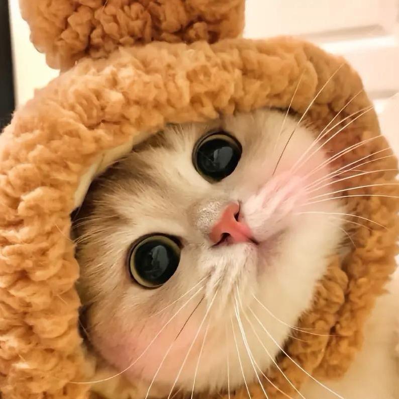 烁