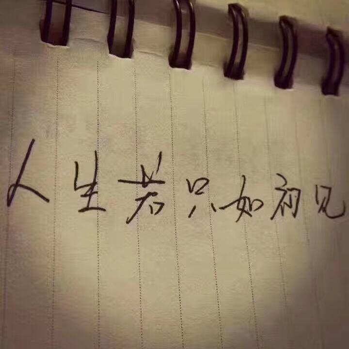 刘二手