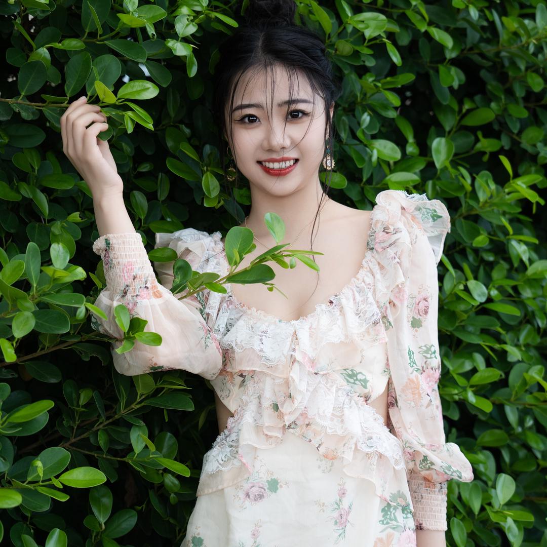 石家庄～锦海棠