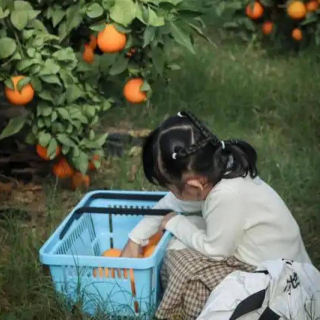 小姑娘家纺