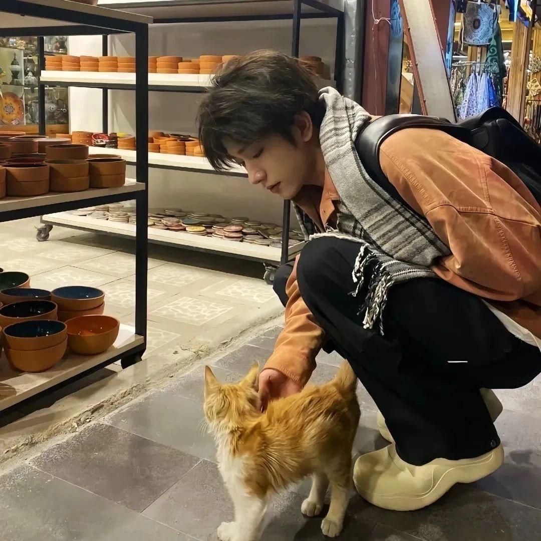 陈七八🐍