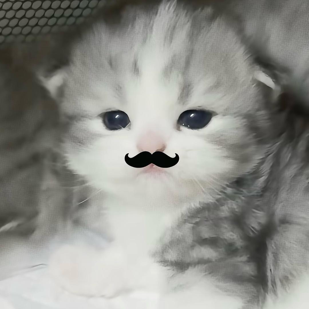 过敏源.