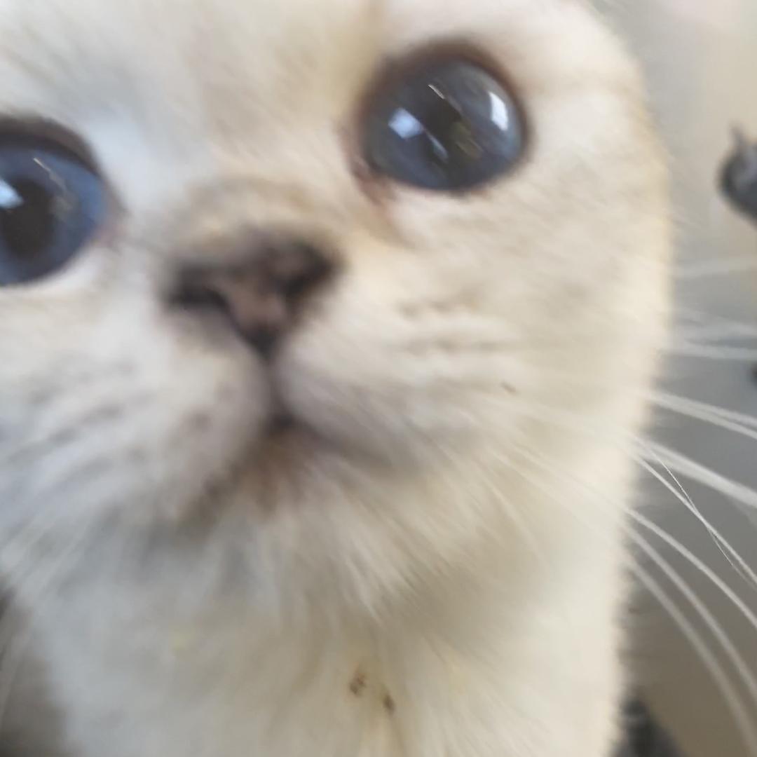 舒肤佳