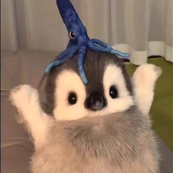 是个狠妹子
