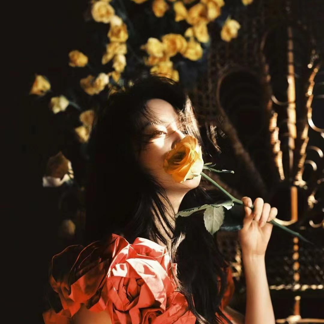 杨不倒📸