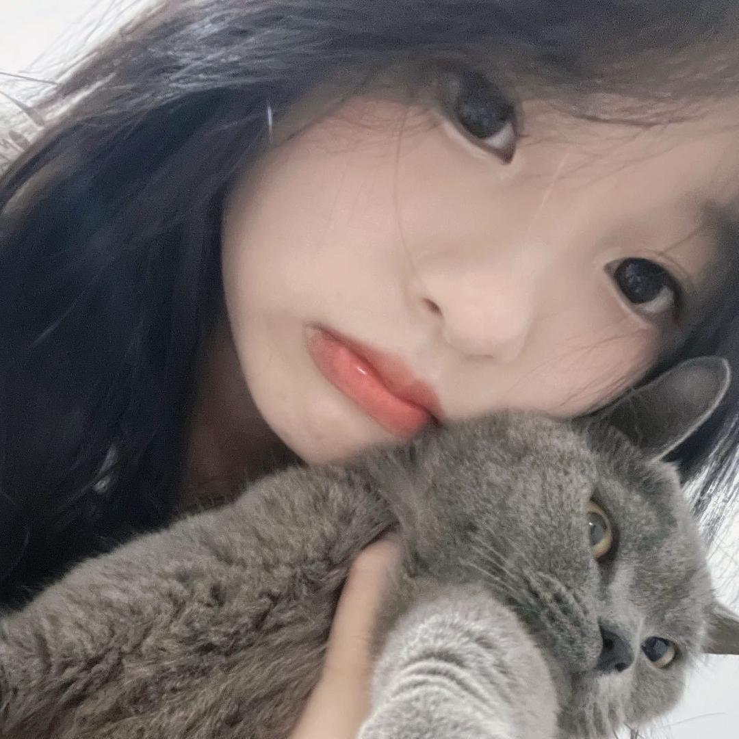 小小凤