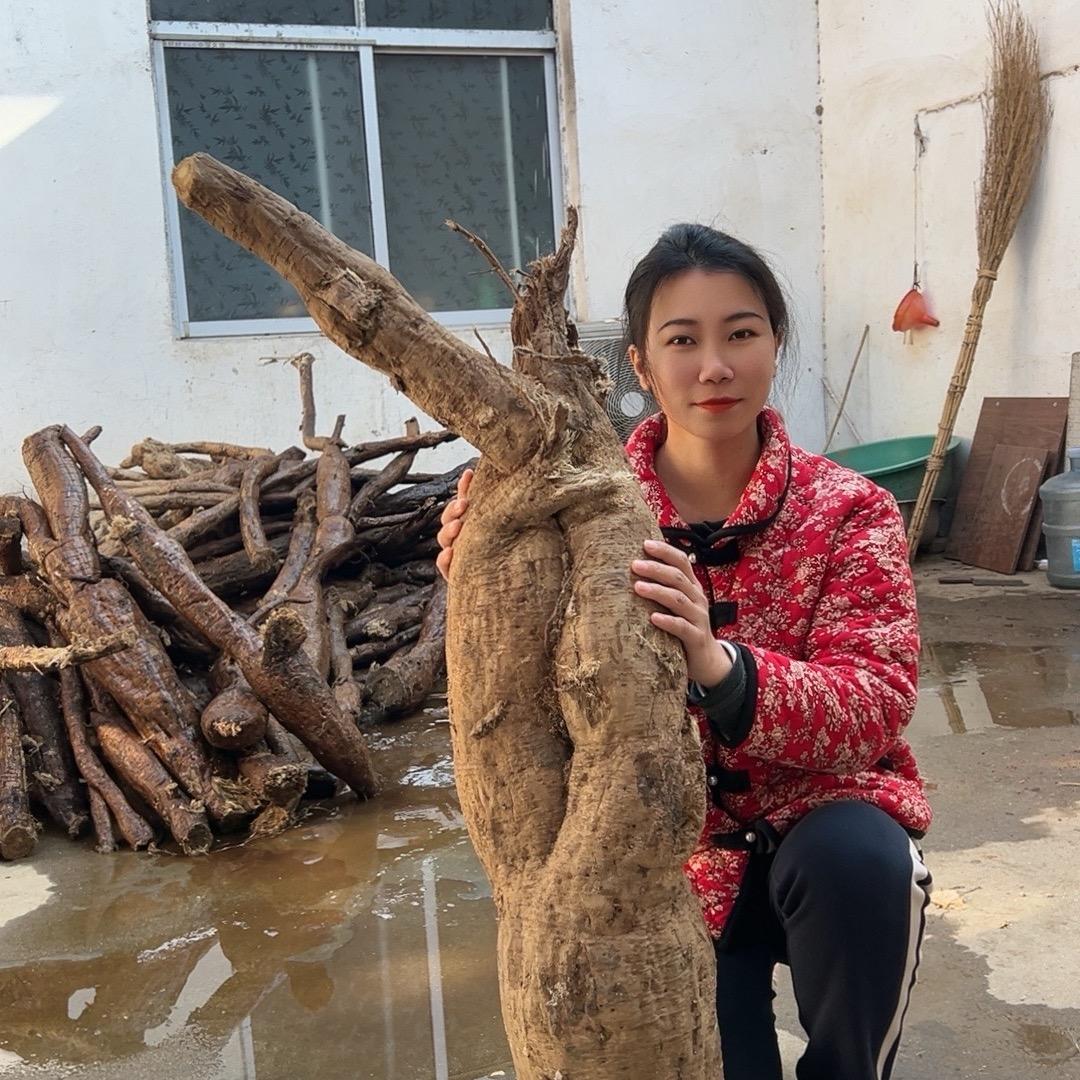 小林在河南