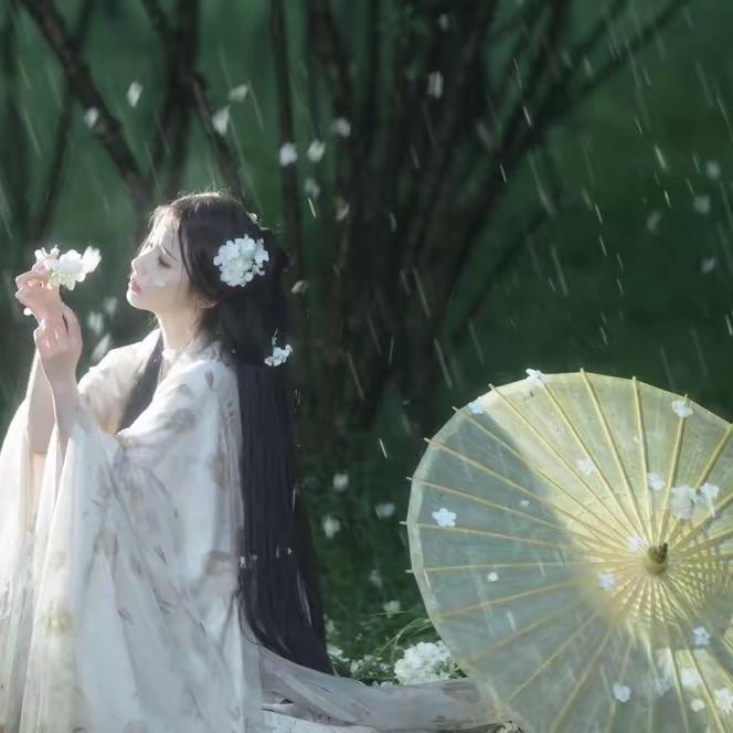 晨林影视