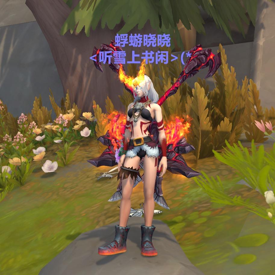 蜉蝣小不点