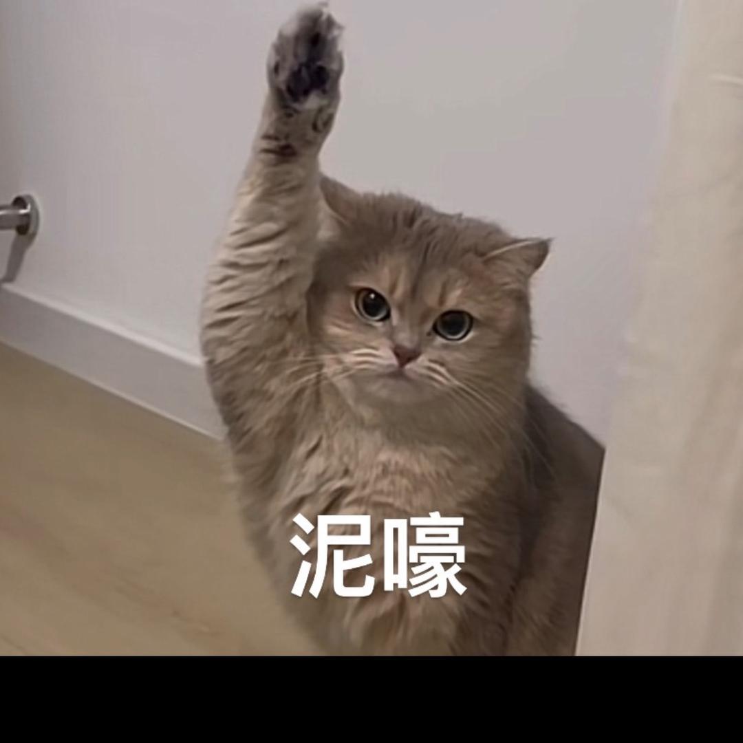 冷月61864607537