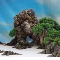 奇奇怪怪的山