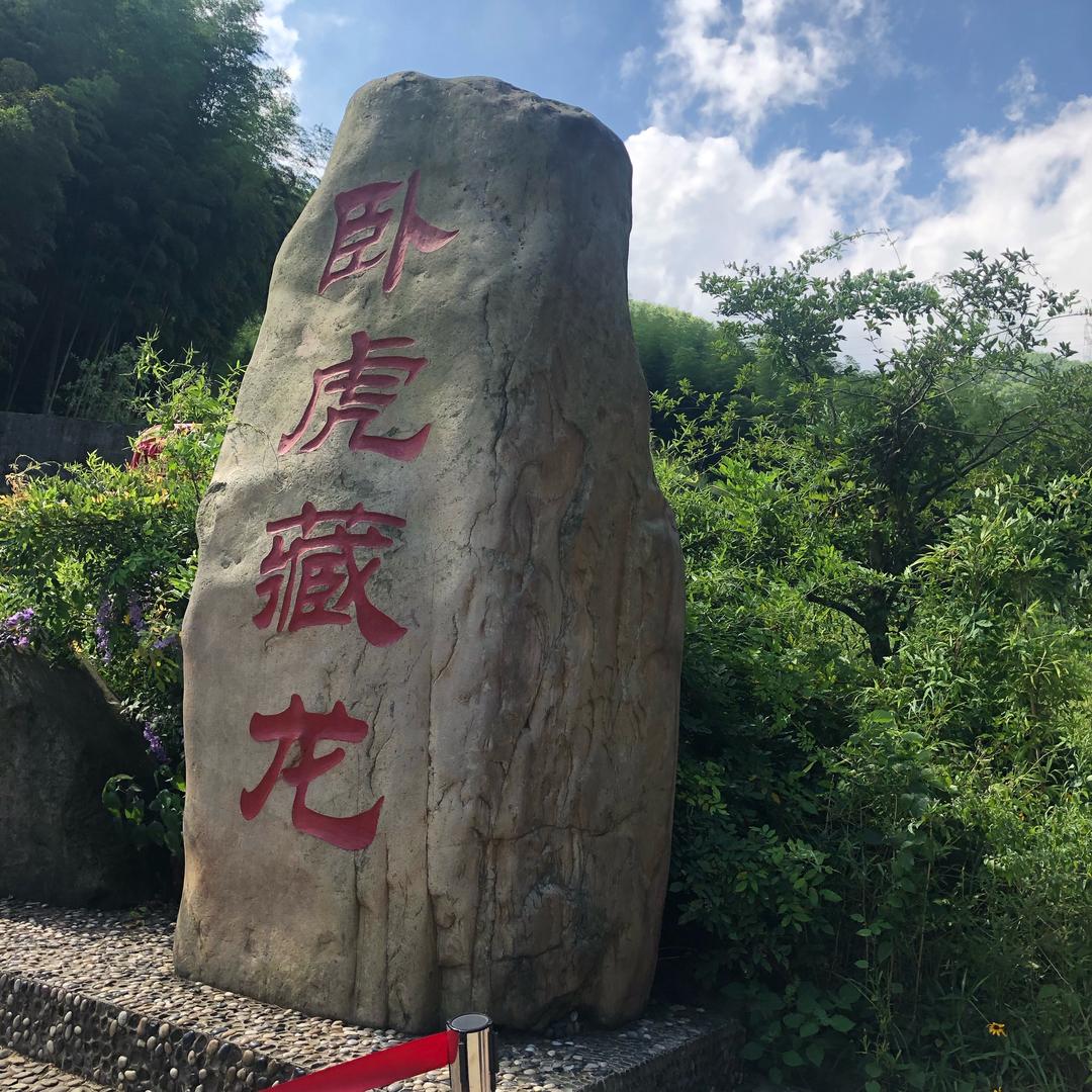 沈娟