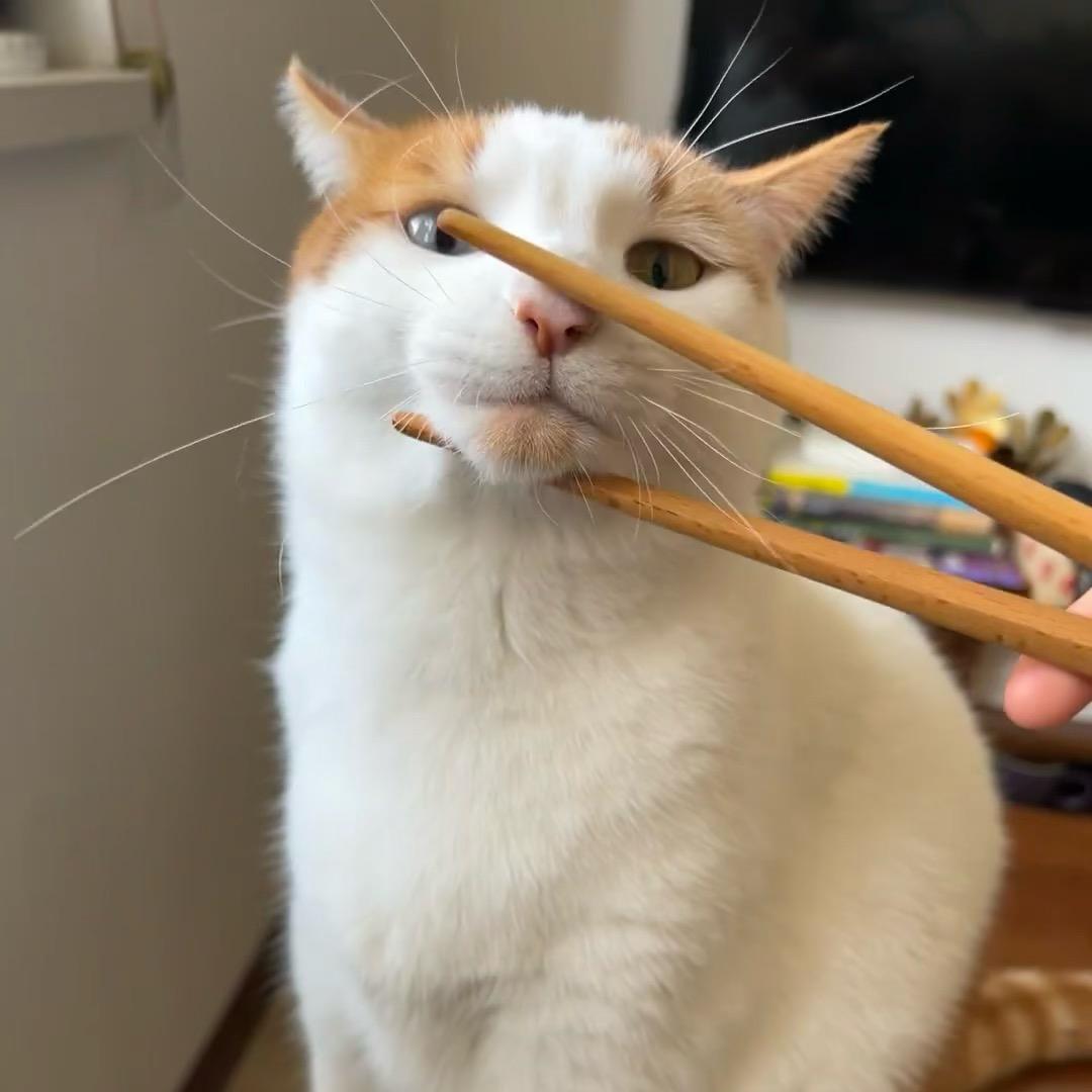 祝音手工穿戴甲