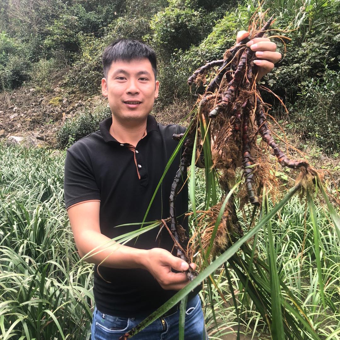 桂惠科技农业