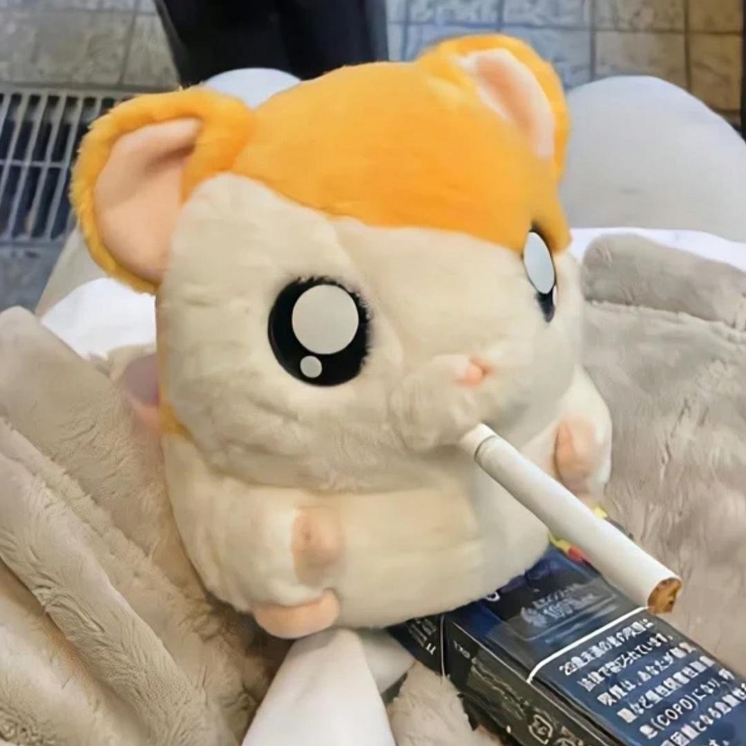 橙子劳斯