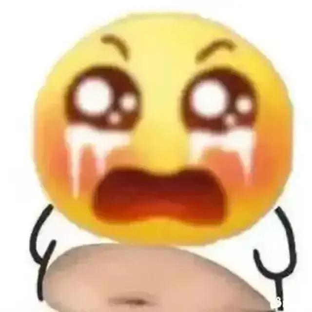 猪脚达人