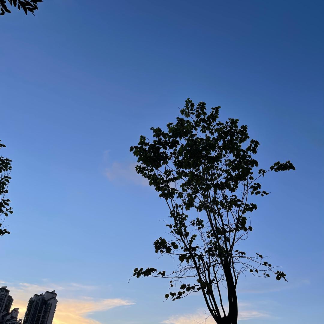 珠海🏦老徐