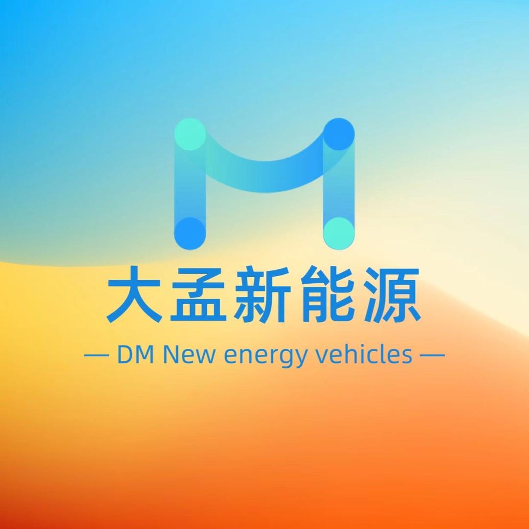大连大孟新能源