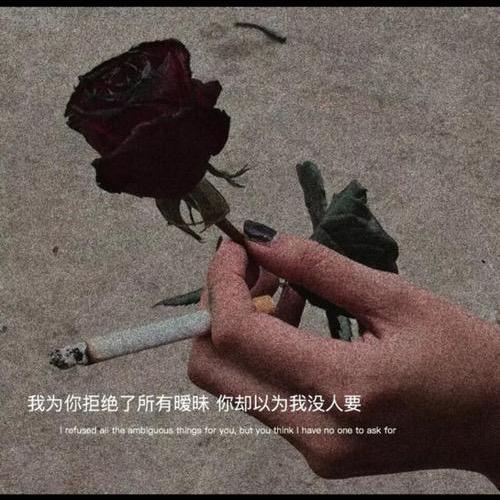 高姐姐