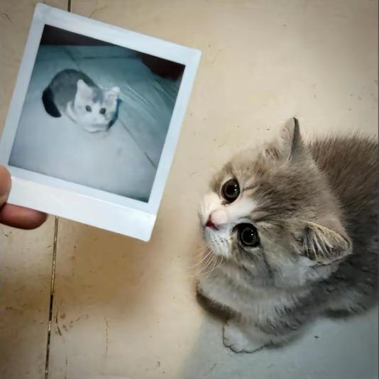 序子.