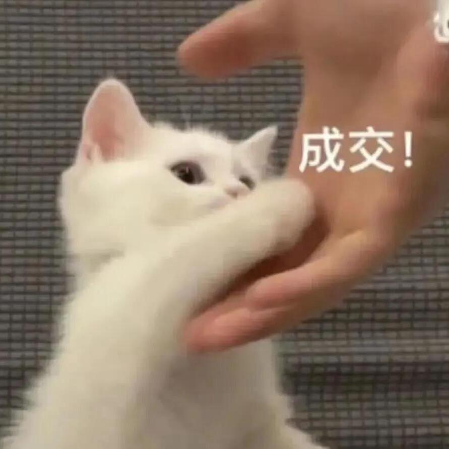 招财的浩新