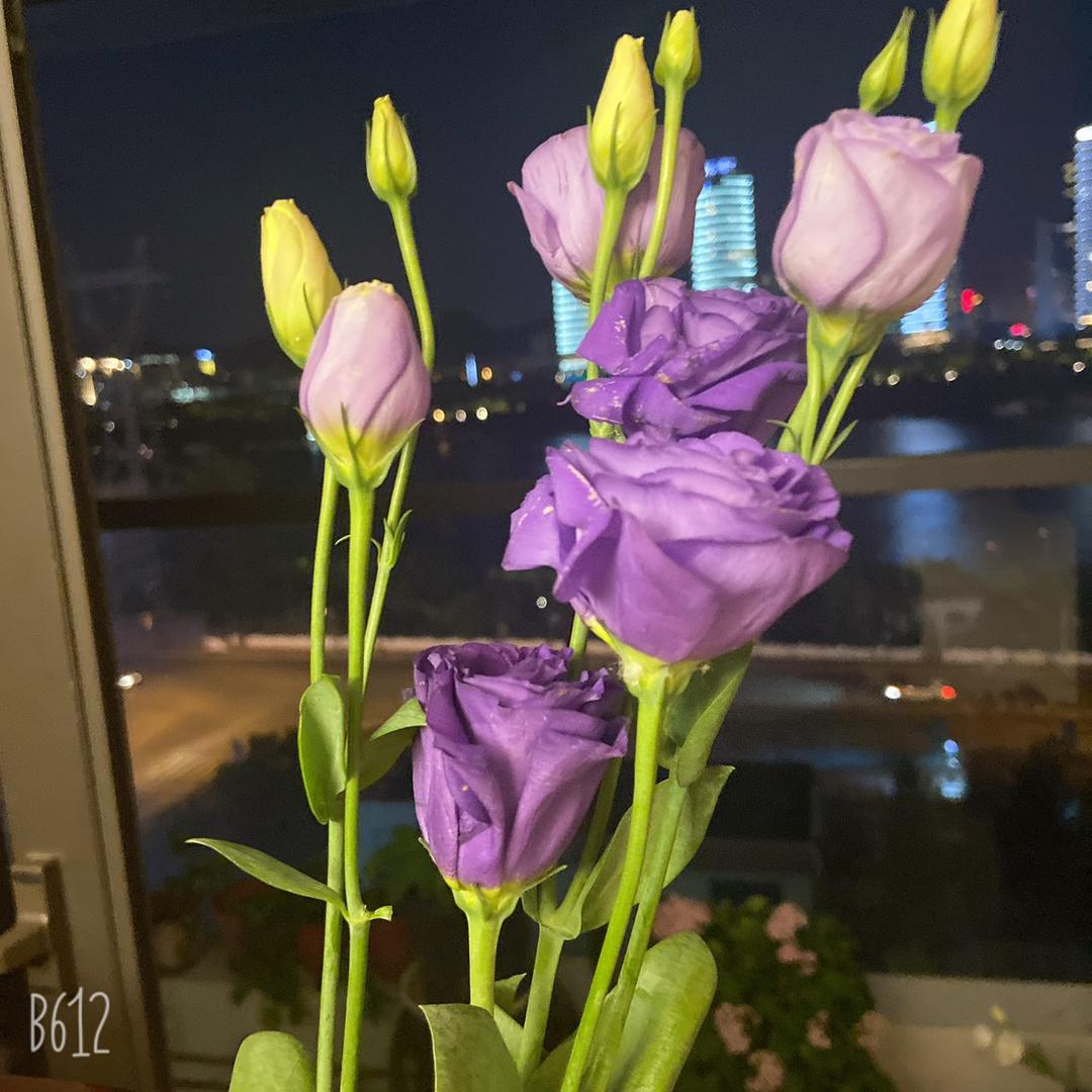 好好爱自己。