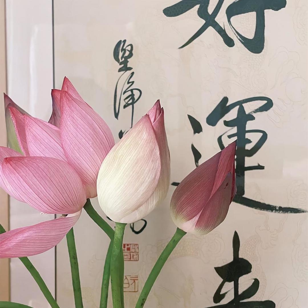 子耀女鞋厂