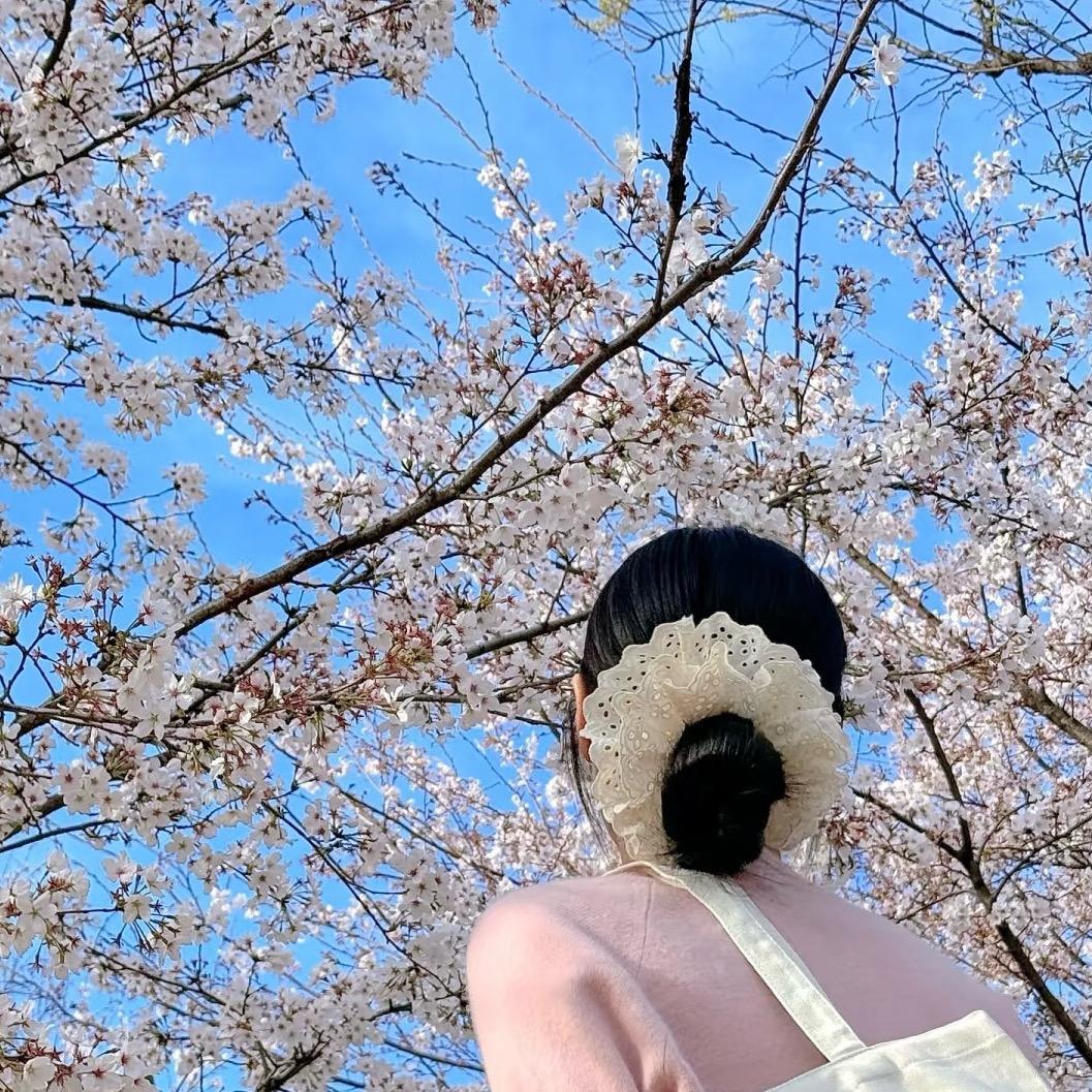 Yang-阳