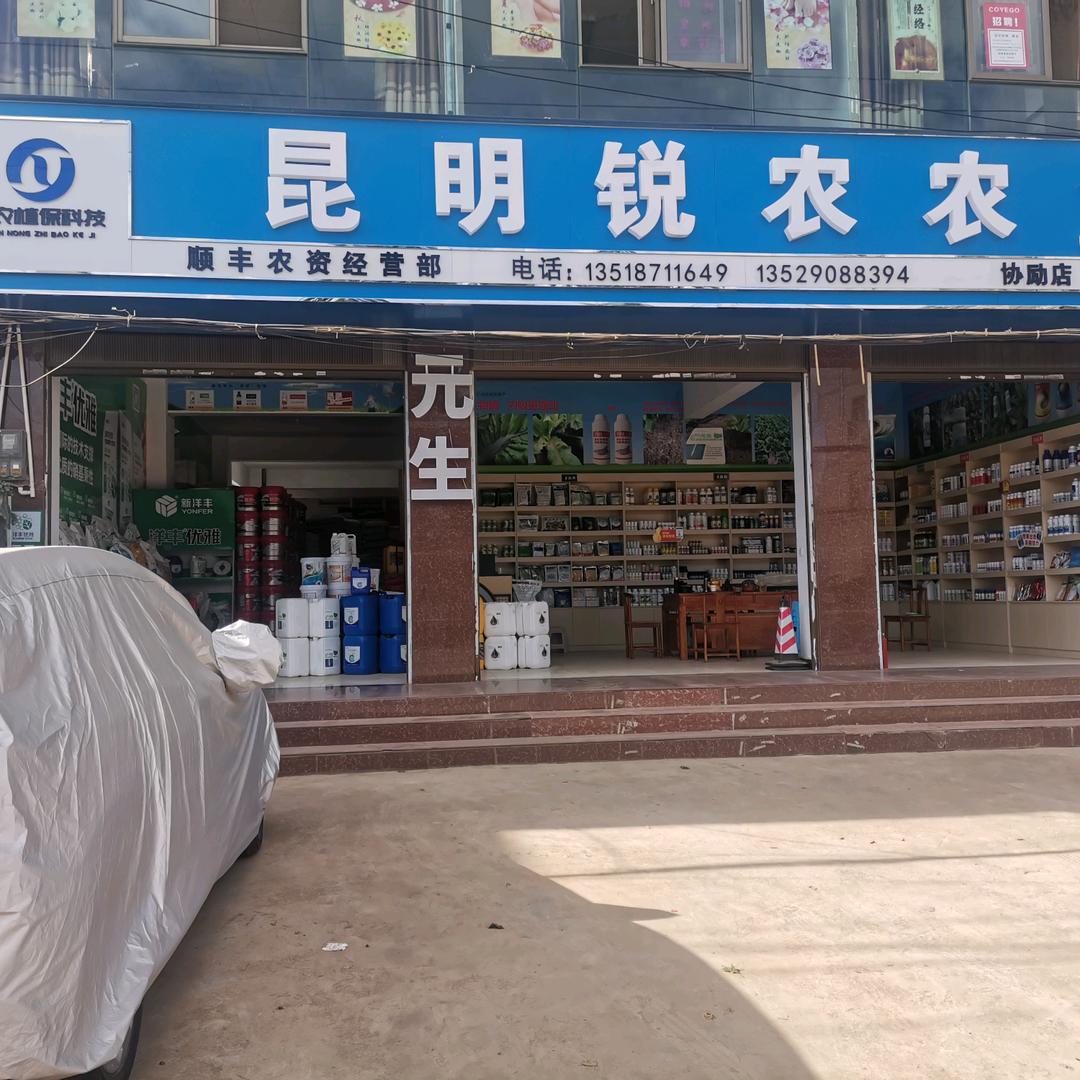 昆明锐农农业     冯猛