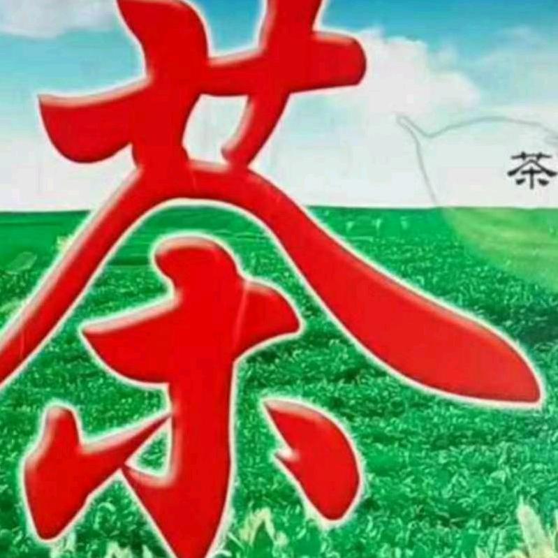 竹溪茶叶批发田霞