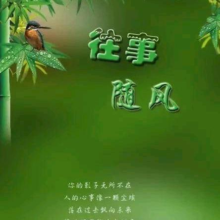 聆风