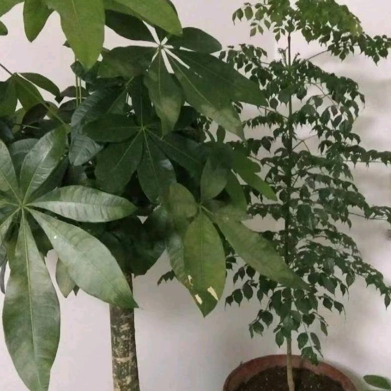 默柔电动车挡风被批发