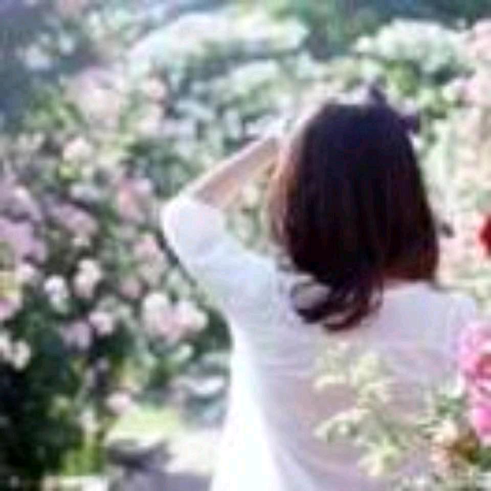 ♡♡枫叶♡♡