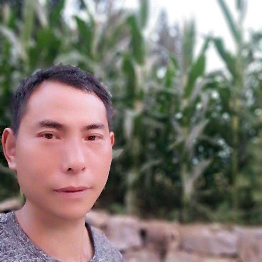 贵州开哥