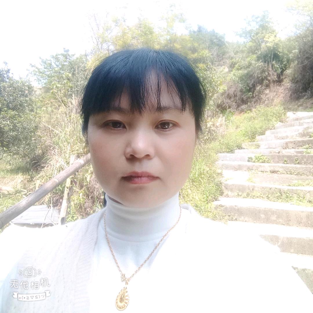 Z依蕊