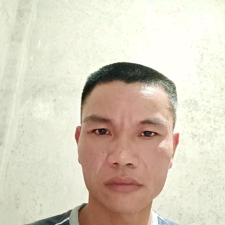 茶农生产 铁观音批发