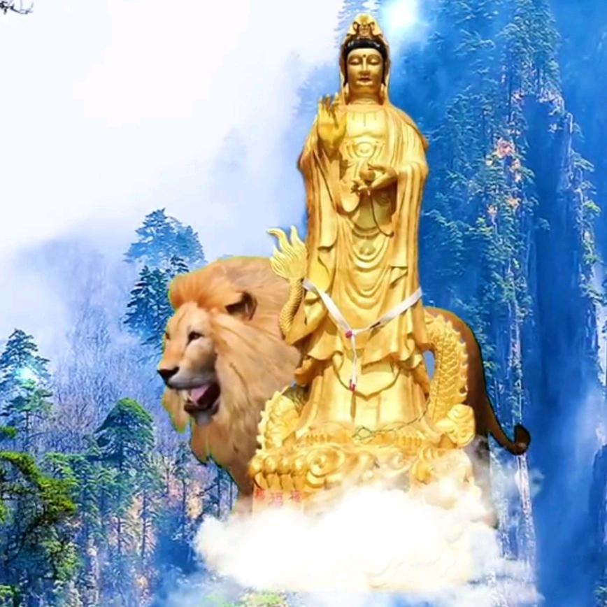 想你的夜