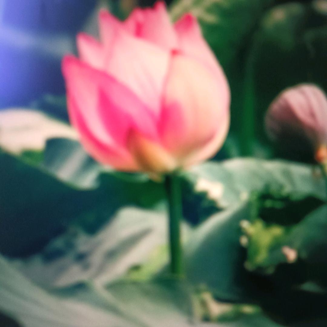 幸福美满
