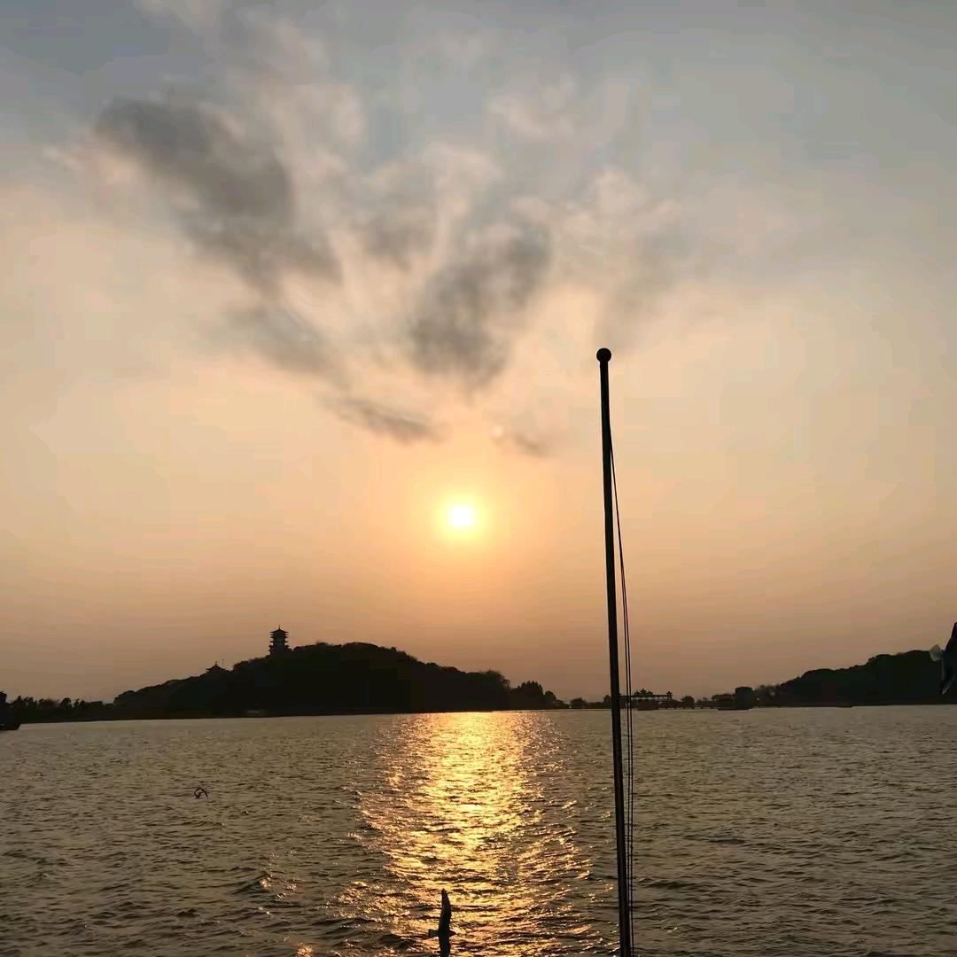 蓝桉长在洱海边