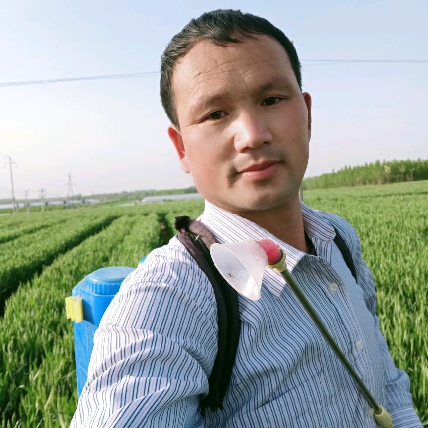 农村歌迷